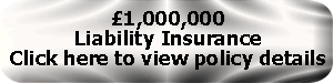 1 million liability insurance